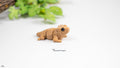 Baby Bearded Dragon – 3D Printed Articulated Figure