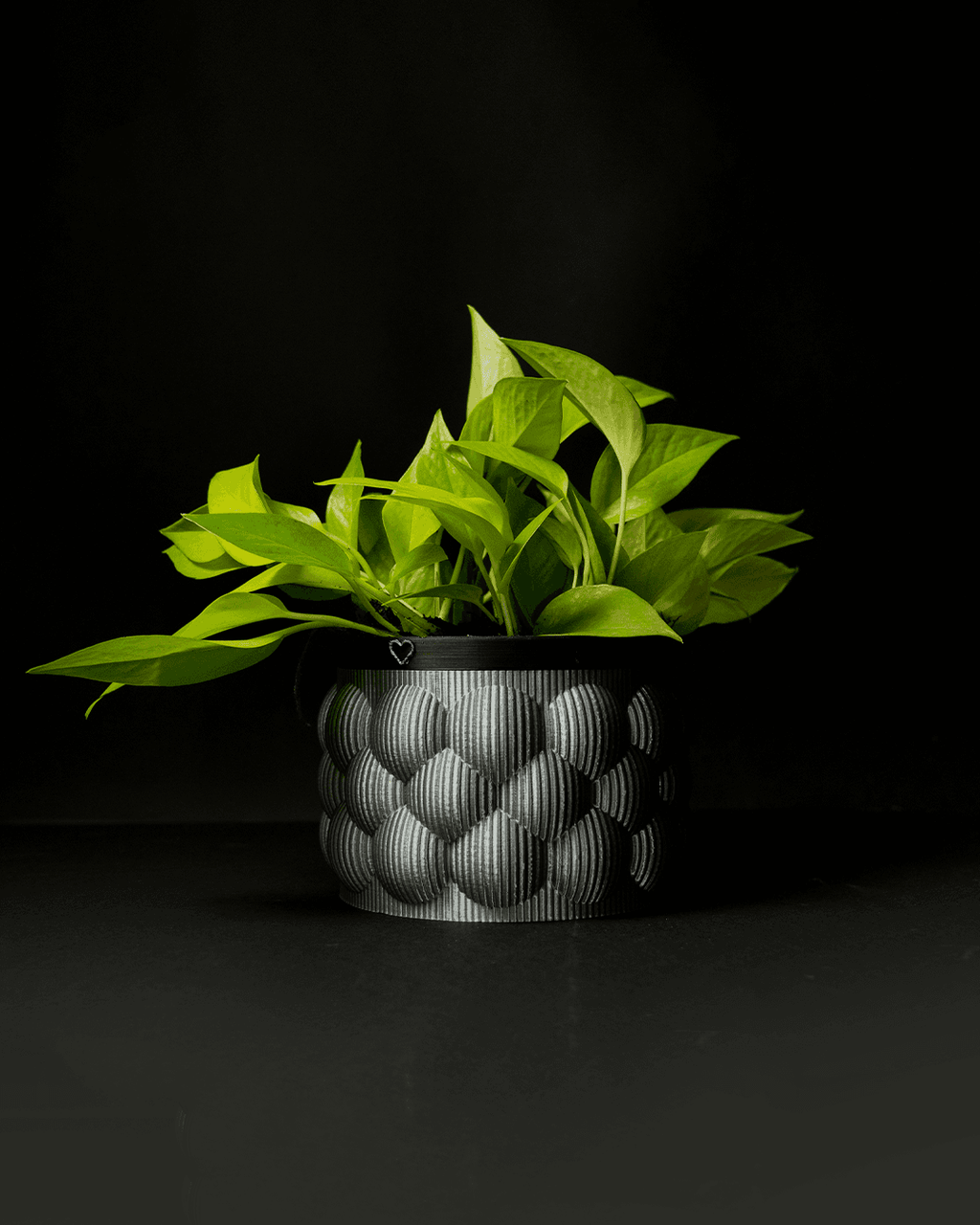 Self-Watering Vase - view 2