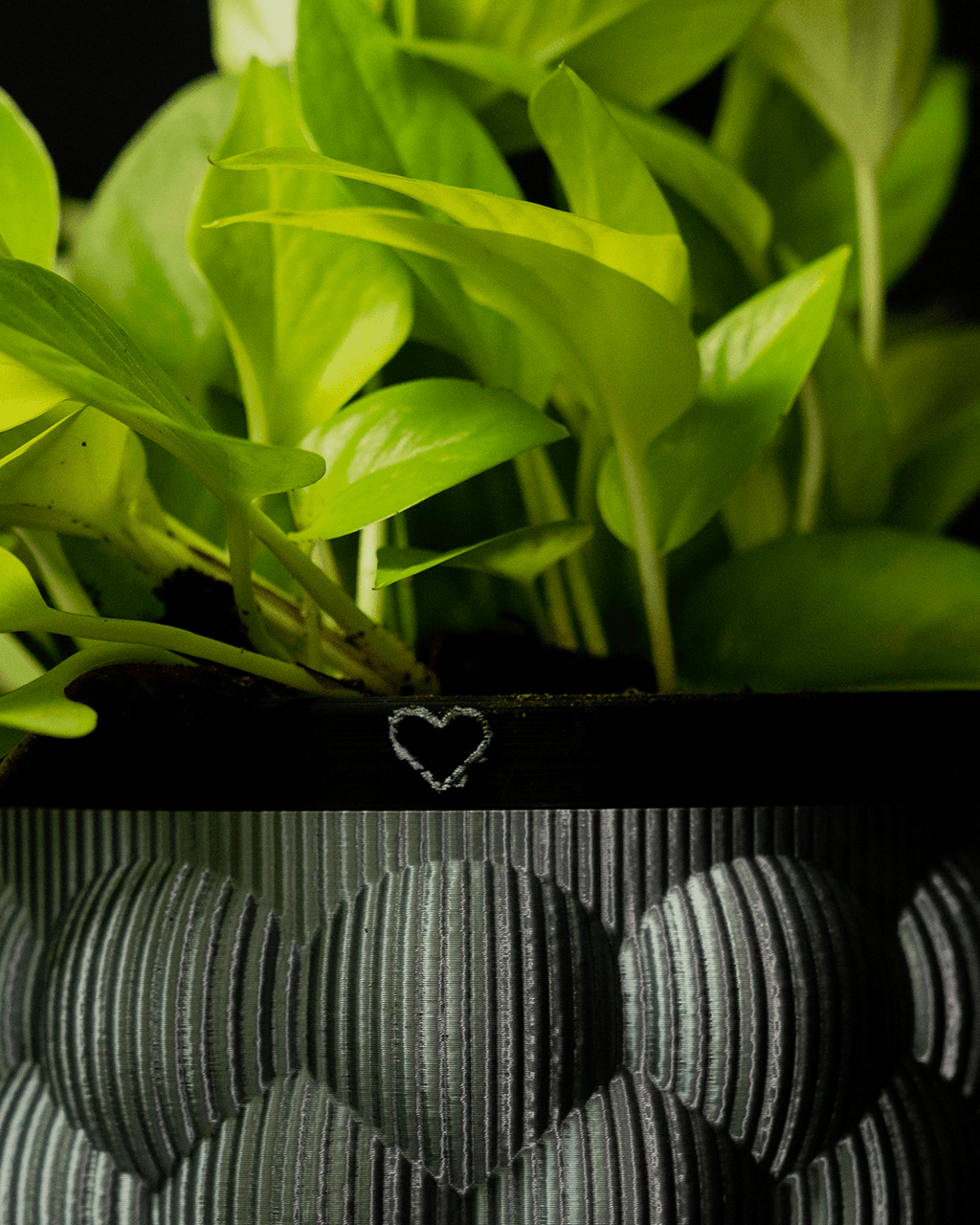 Self-Watering Vase - view 6