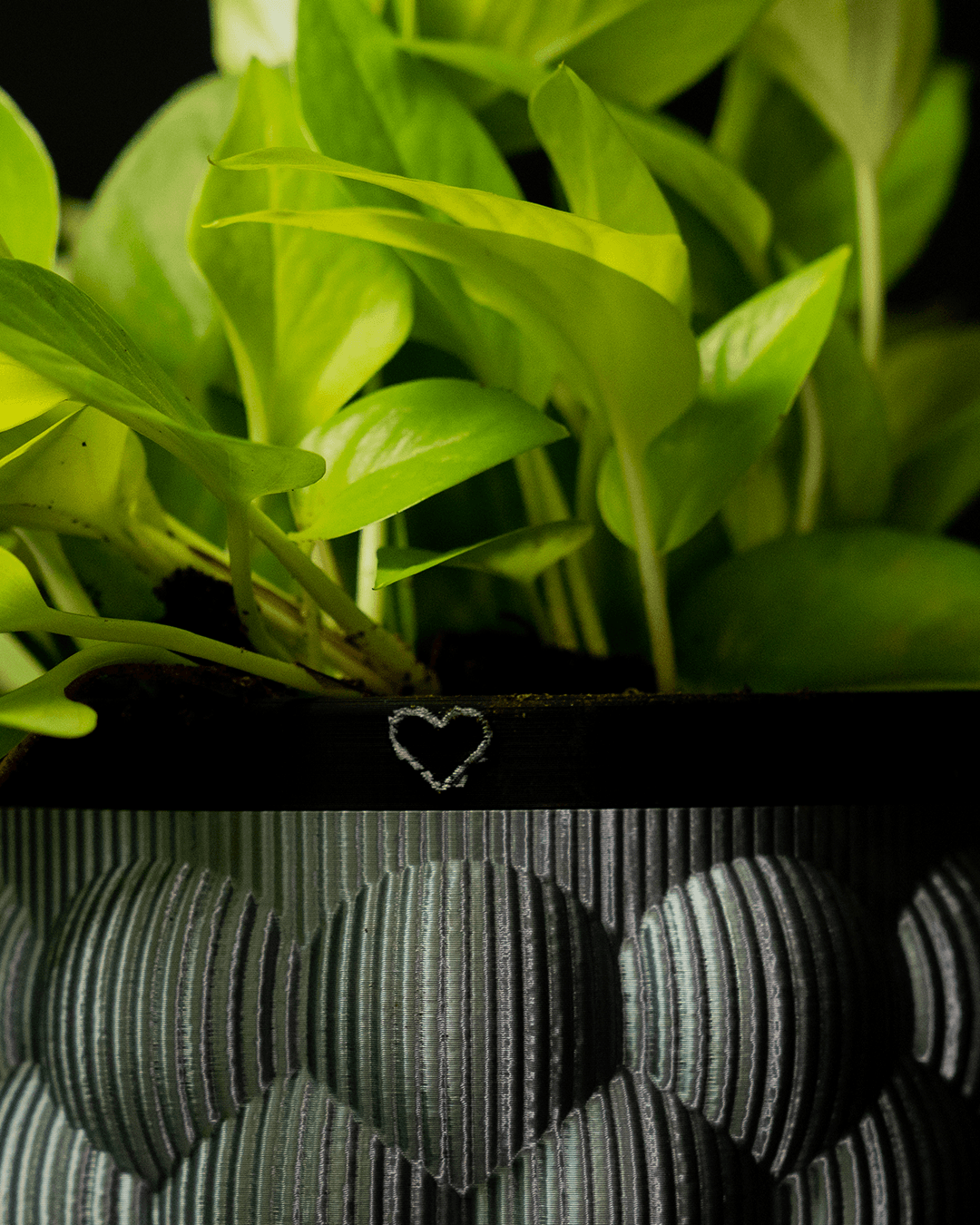 Self-Watering Vase - view 6