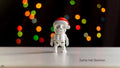 Santa Hat Skeleton