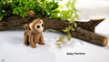 Baby Monkey