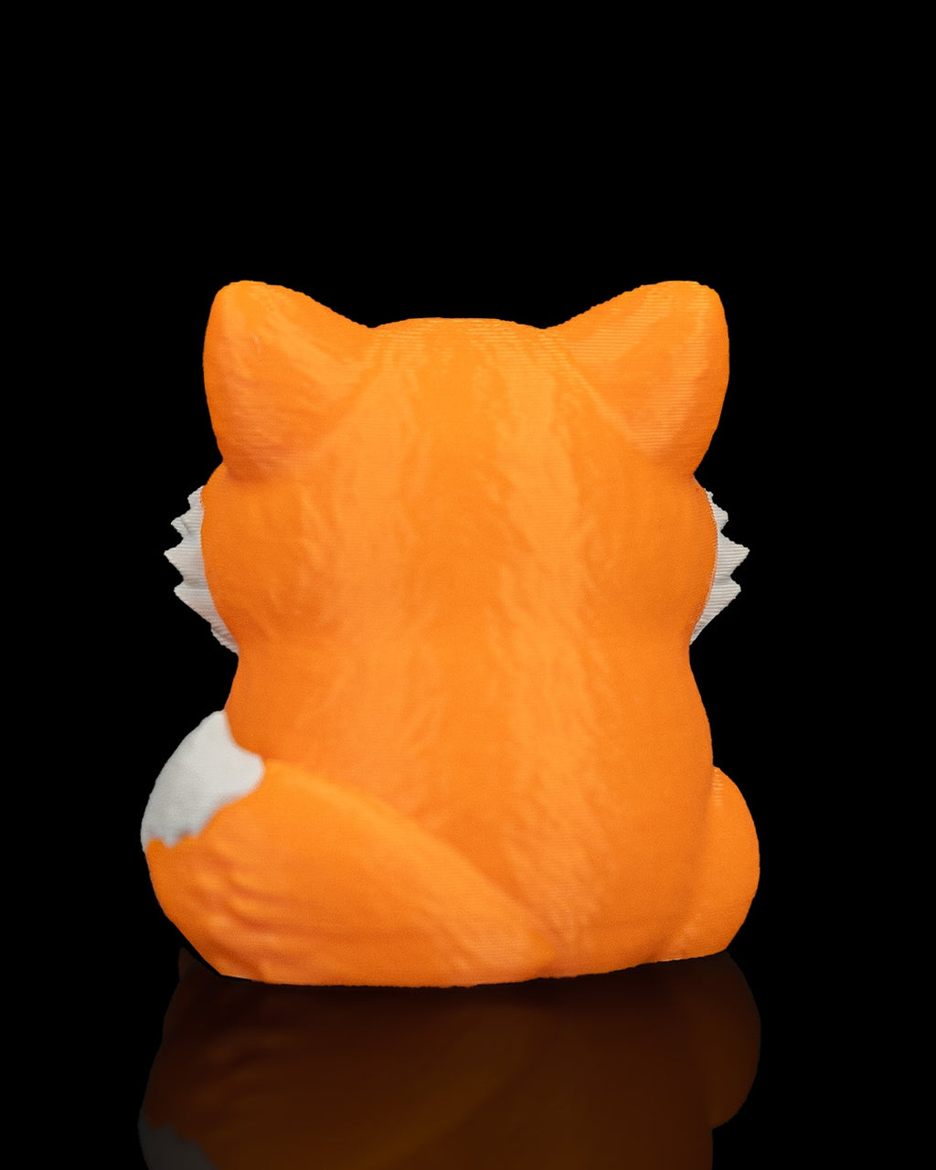 Smooth Fox - view 11