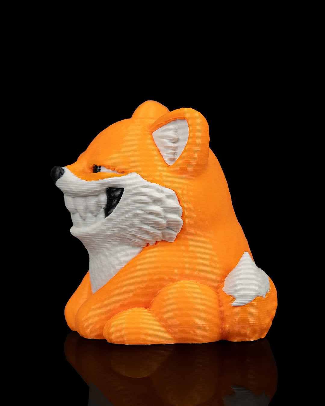 Smooth Fox - view 12