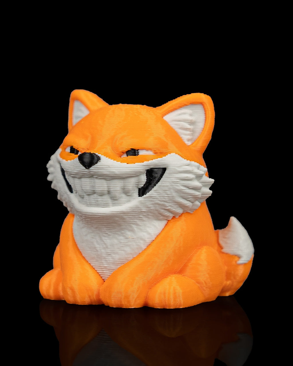 Smooth Fox - view 13