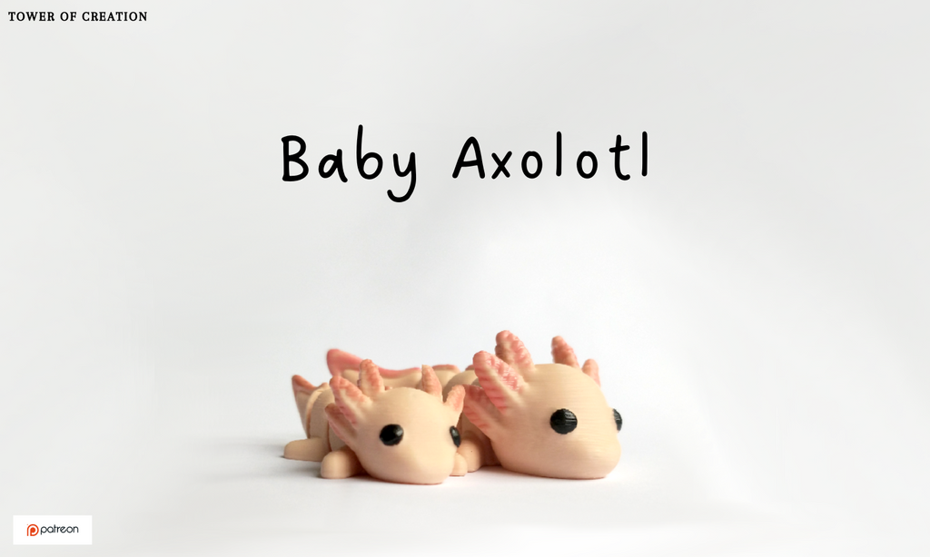 Baby Axolotl Articulated Fidget