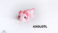 New Baby Axolotl