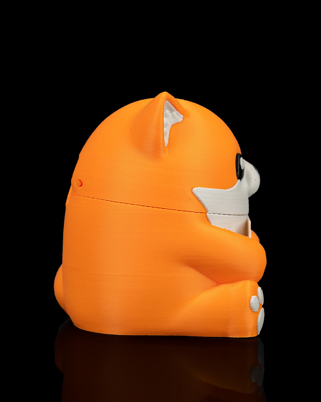 Smooth Fox - view 7