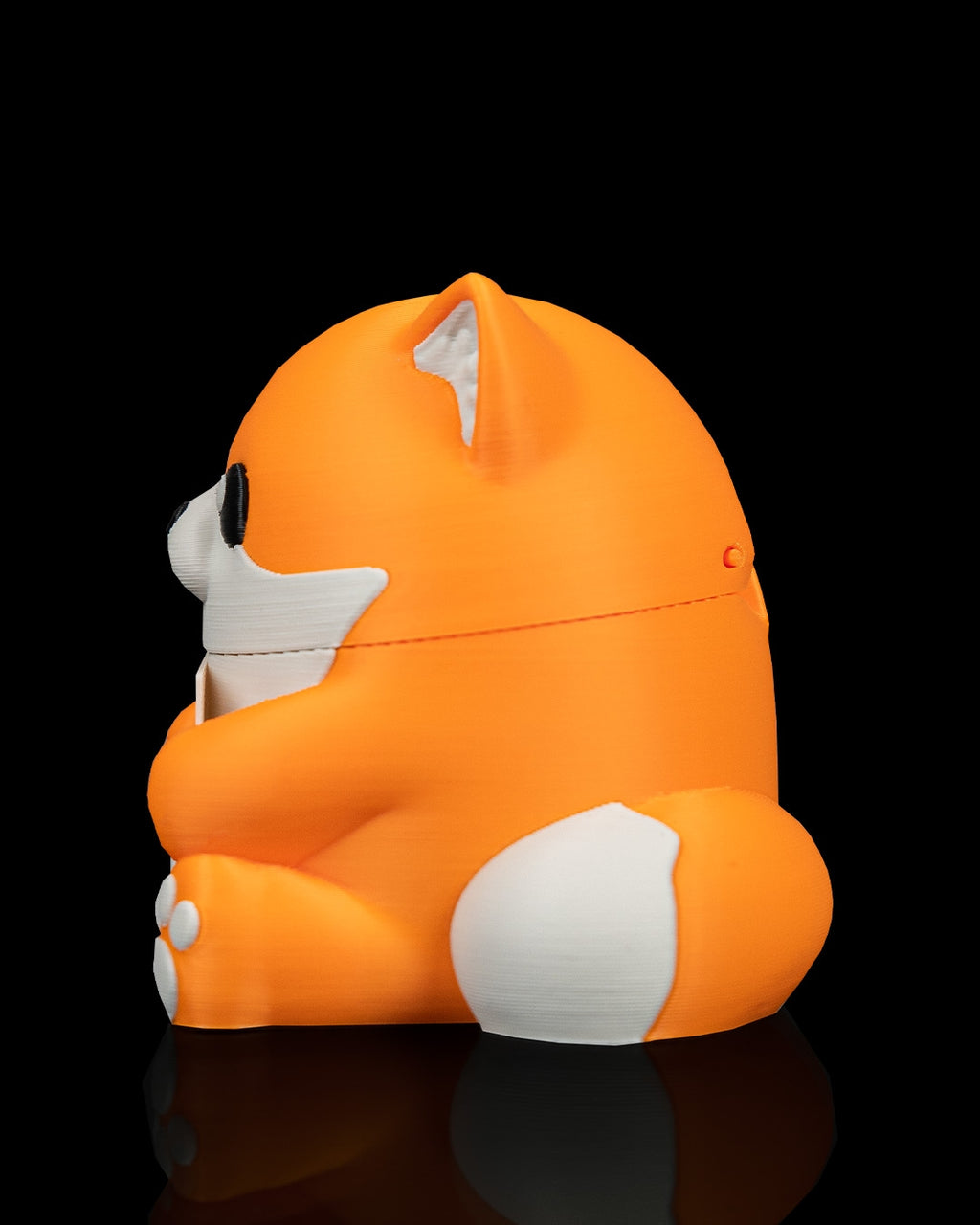 Smooth Fox - view 9