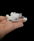 3D Tinys Baby Poodle
