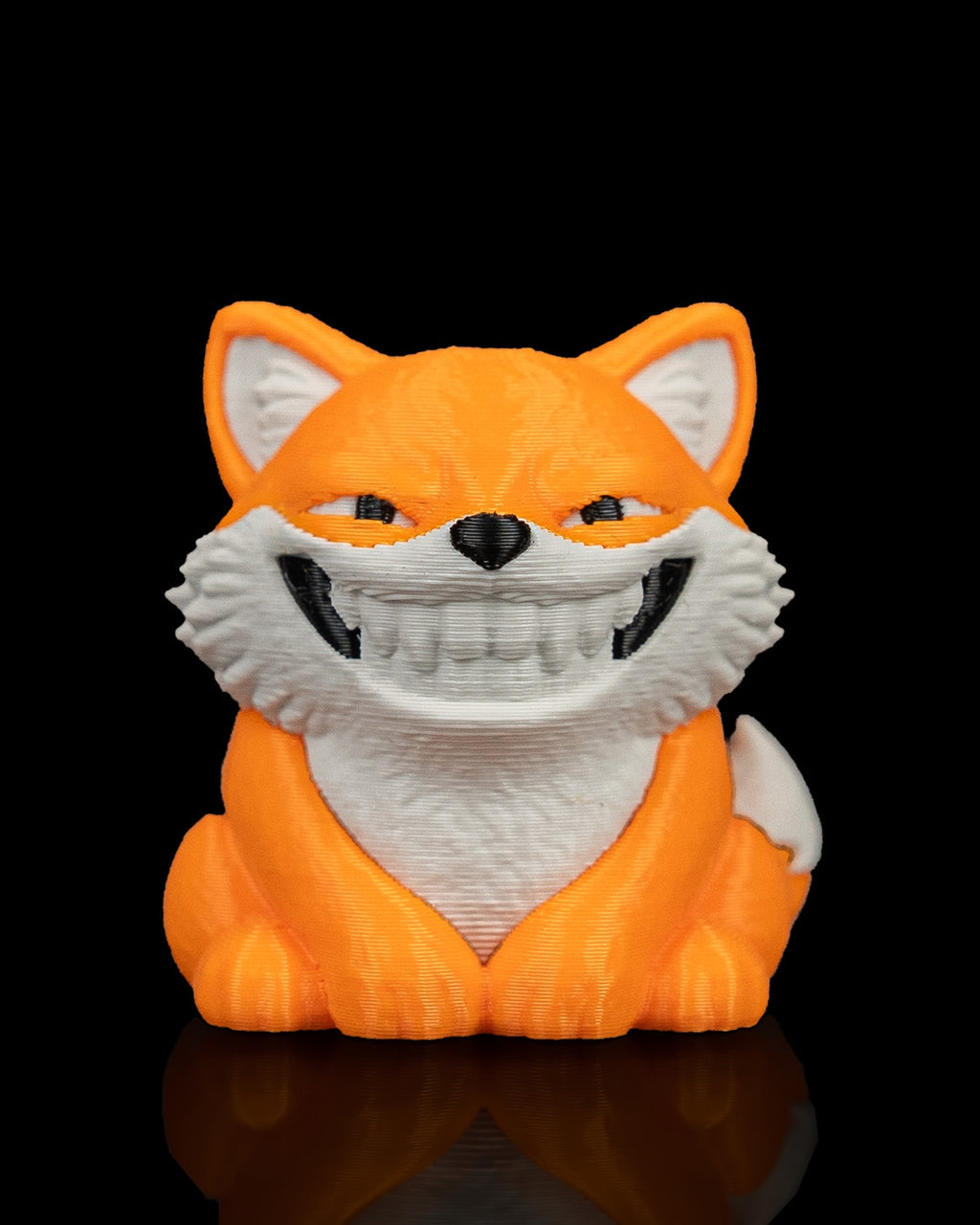 Smooth Fox - view 10