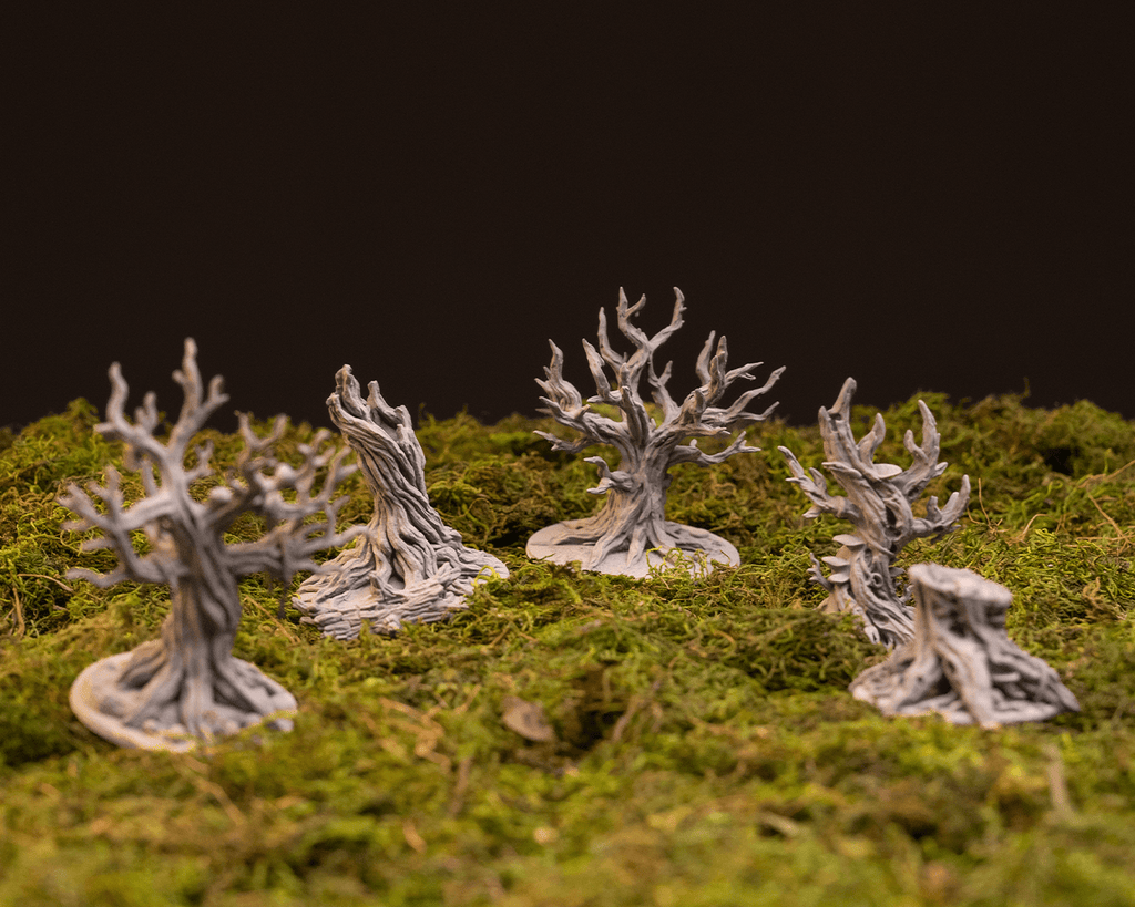 Ancient Trees - view 2