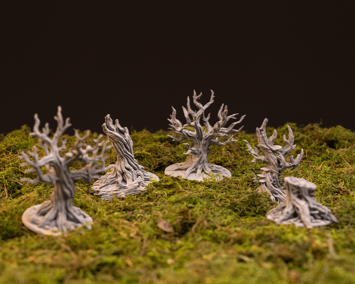 Ancient Trees - view 2
