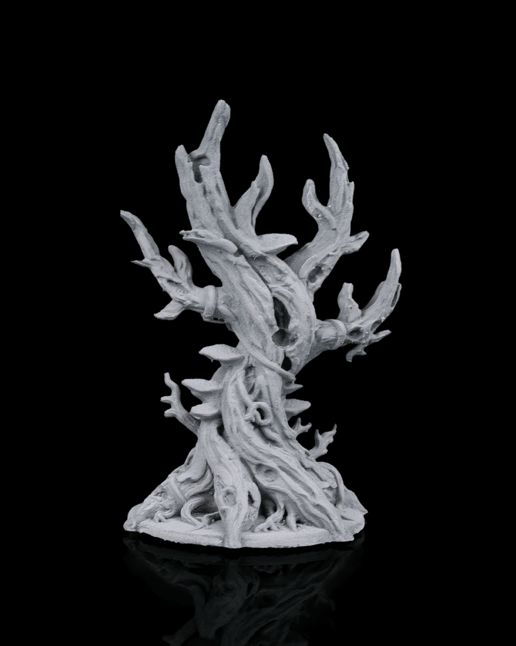 Ancient Trees - view 5