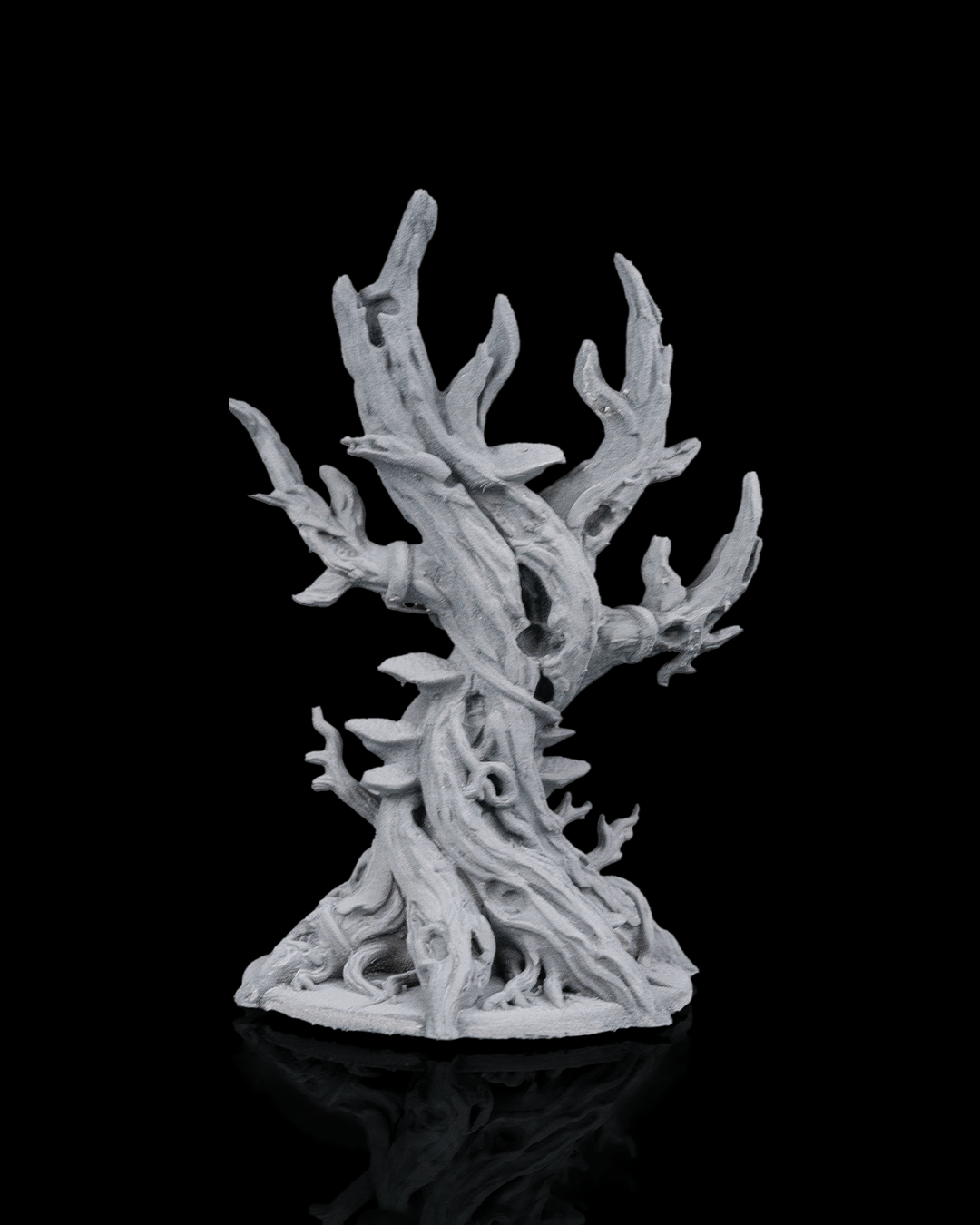 Ancient Trees - view 5