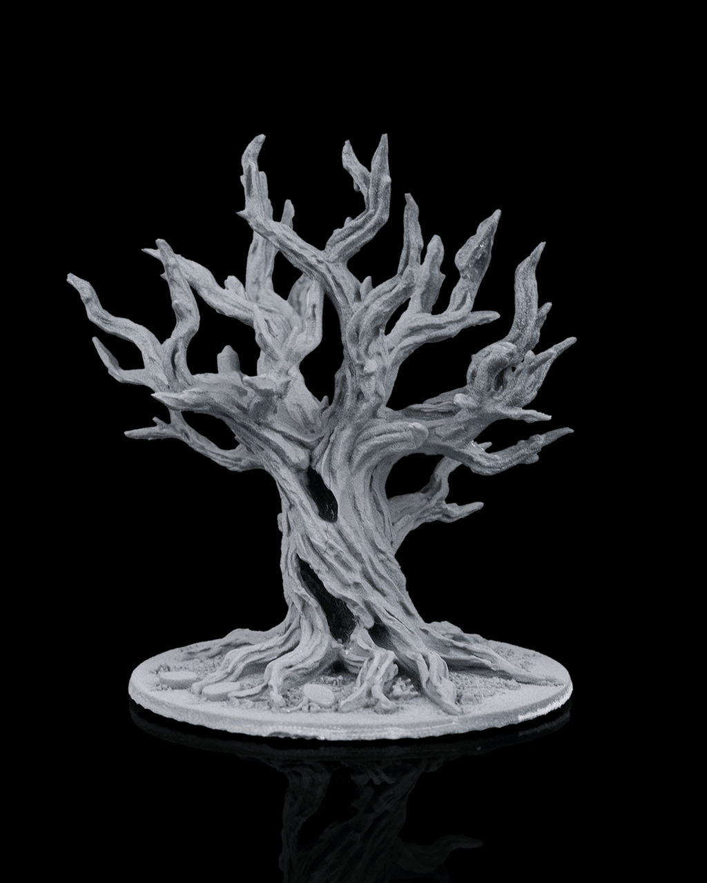 Ancient Trees - view 6