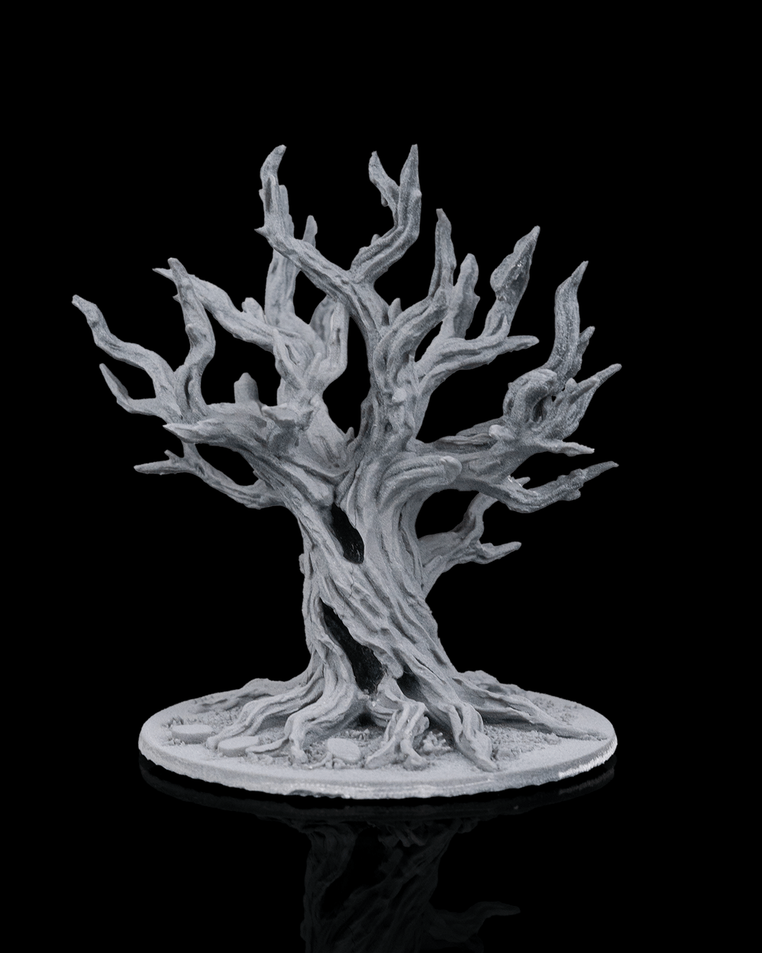 Ancient Trees - view 6