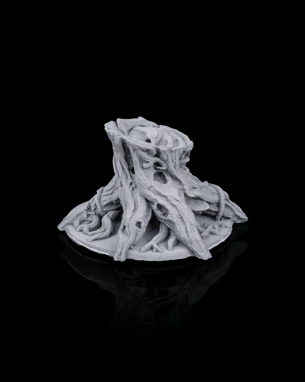 Ancient Trees - view 8