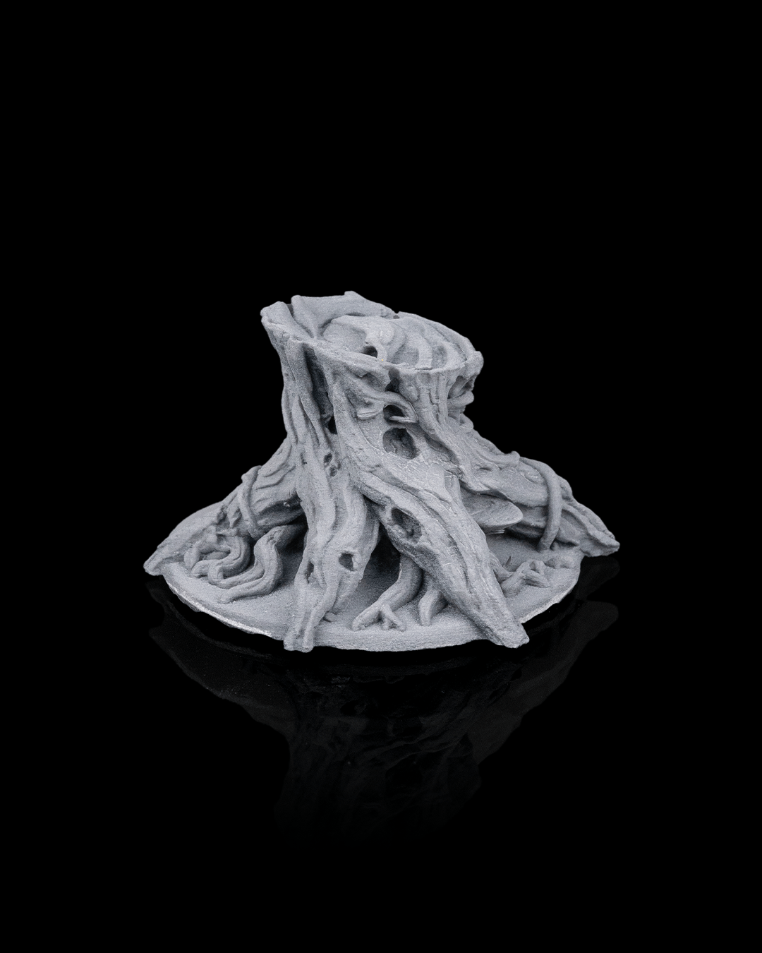 Ancient Trees - view 8