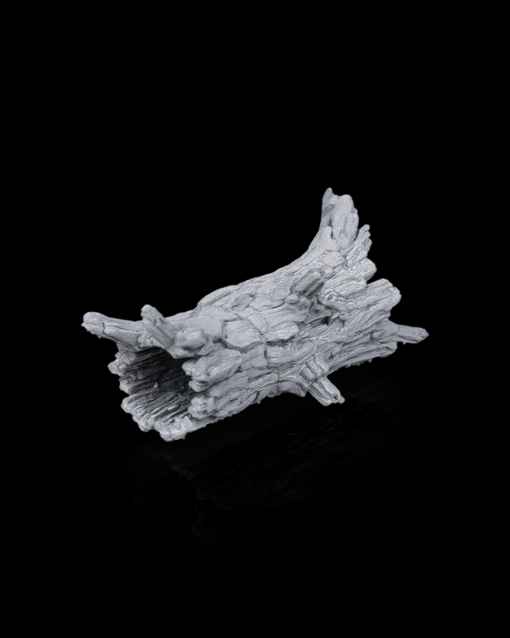 Ancient Trees - view 9