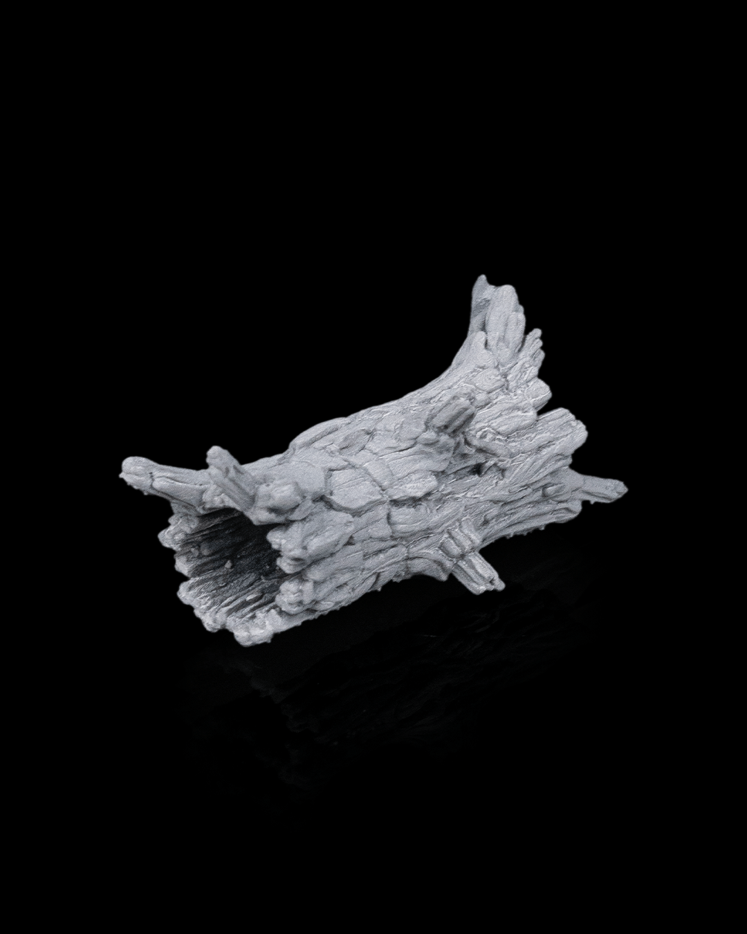 Ancient Trees - view 9