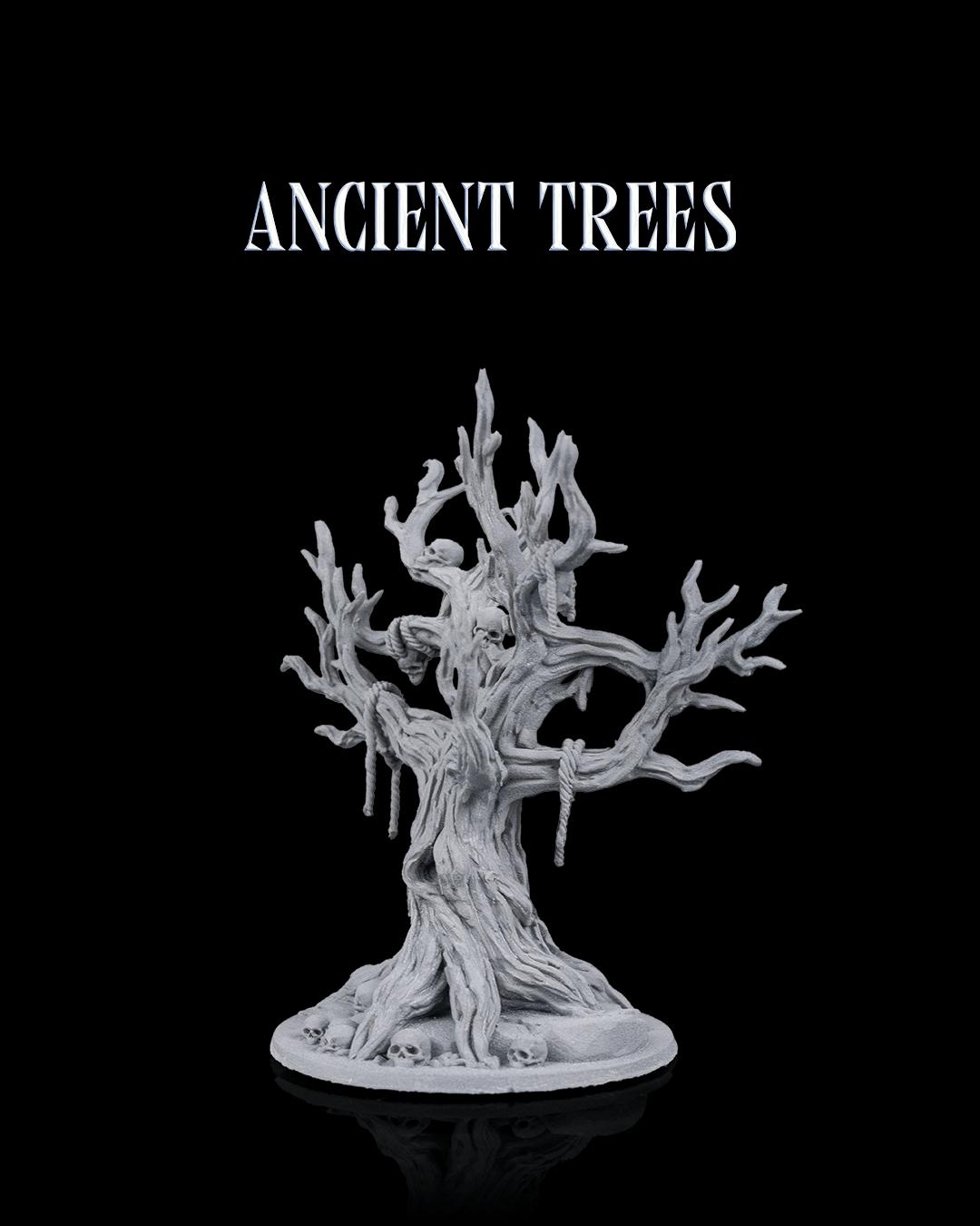 Ancient Trees