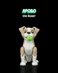 Apollo, the Boxer
