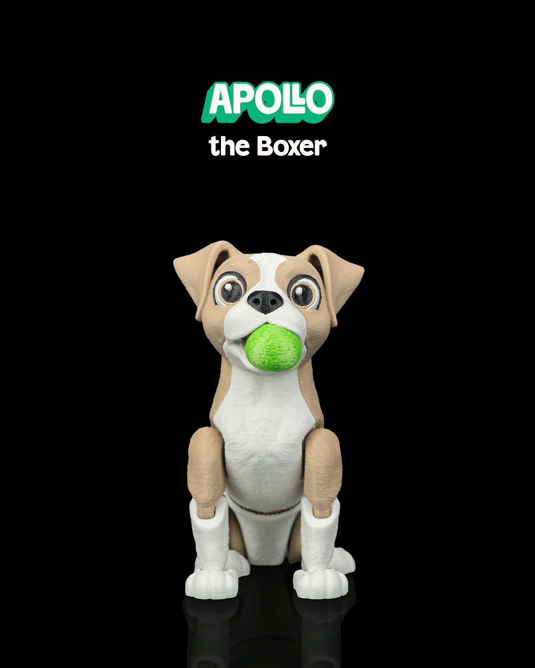 Apollo, the Boxer