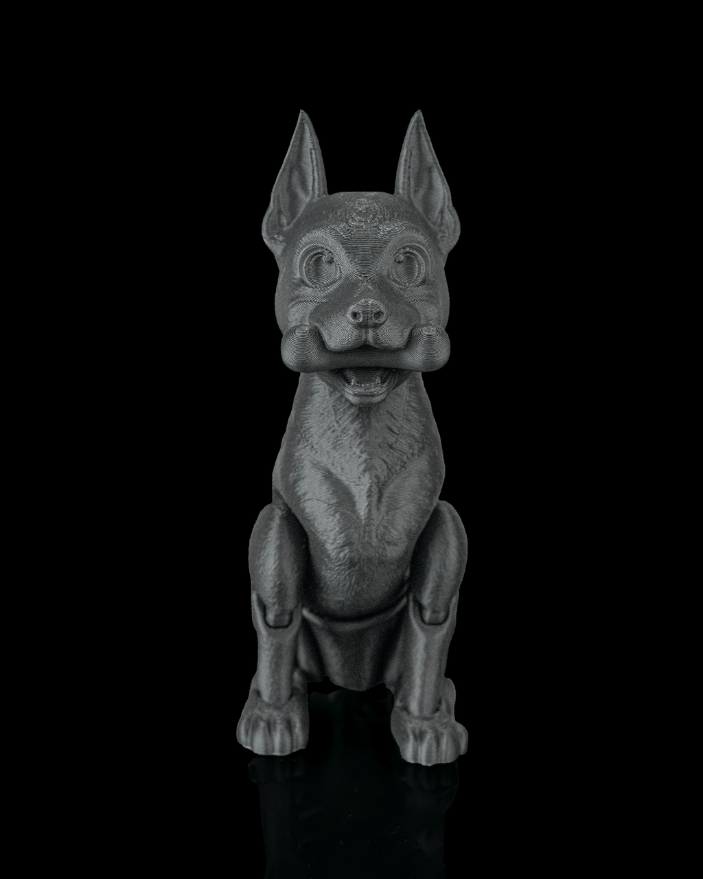 Axel, the Dobermann - view 11