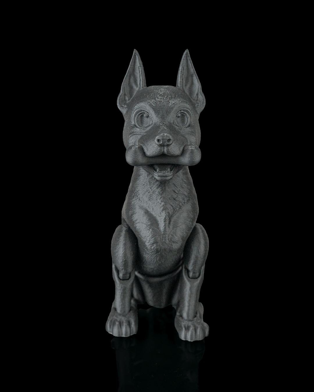 Axel, the Dobermann - view 11