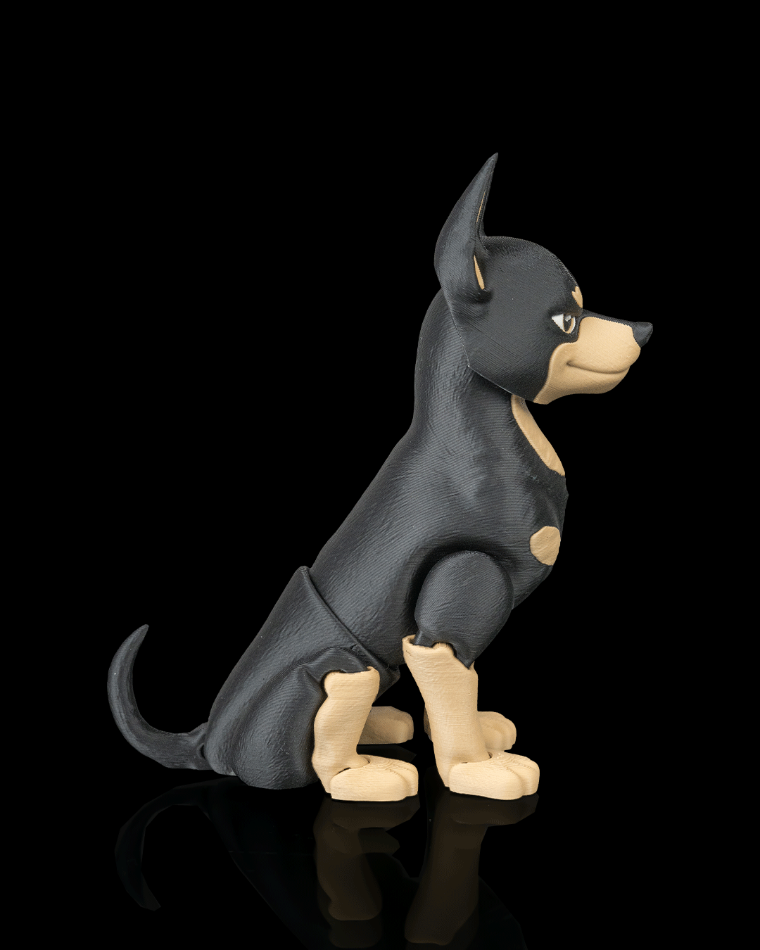 Axel, the Dobermann - view 6