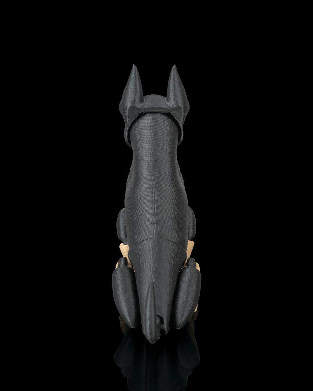 Axel, the Dobermann - view 7