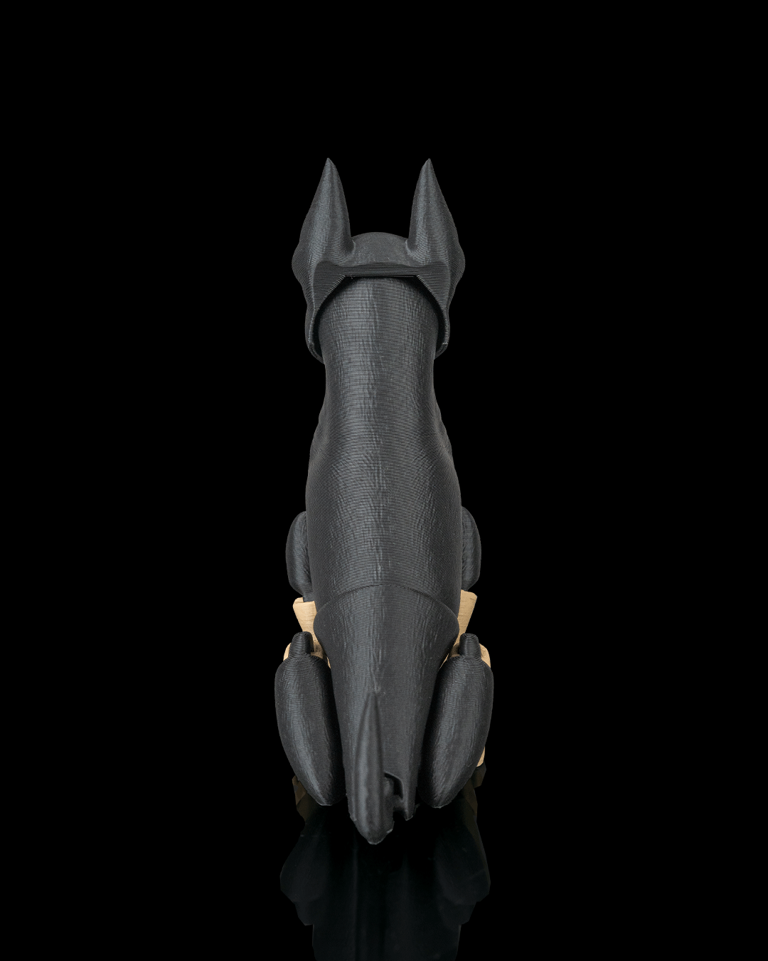 Axel, the Dobermann - view 7