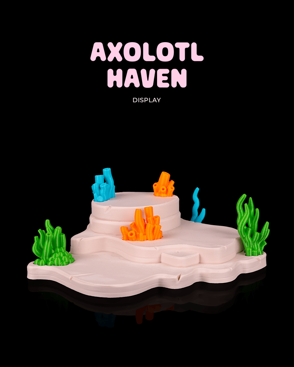 Axolotl Haven - Display
