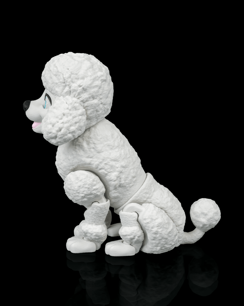 Barbara, the Poodle - view 7