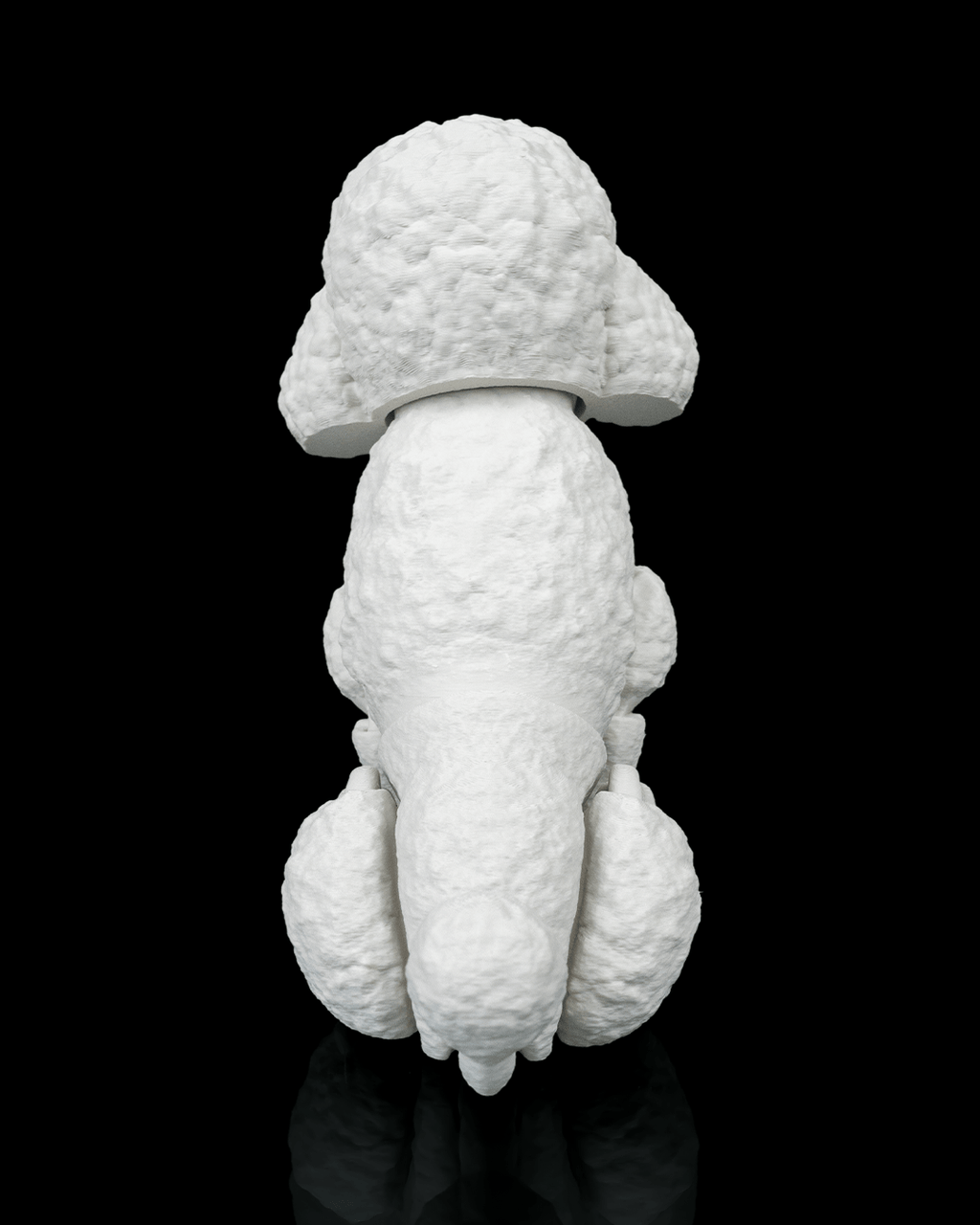Barbara, the Poodle - view 8