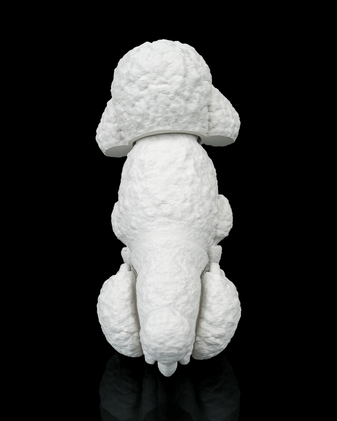 Barbara, the Poodle - view 8