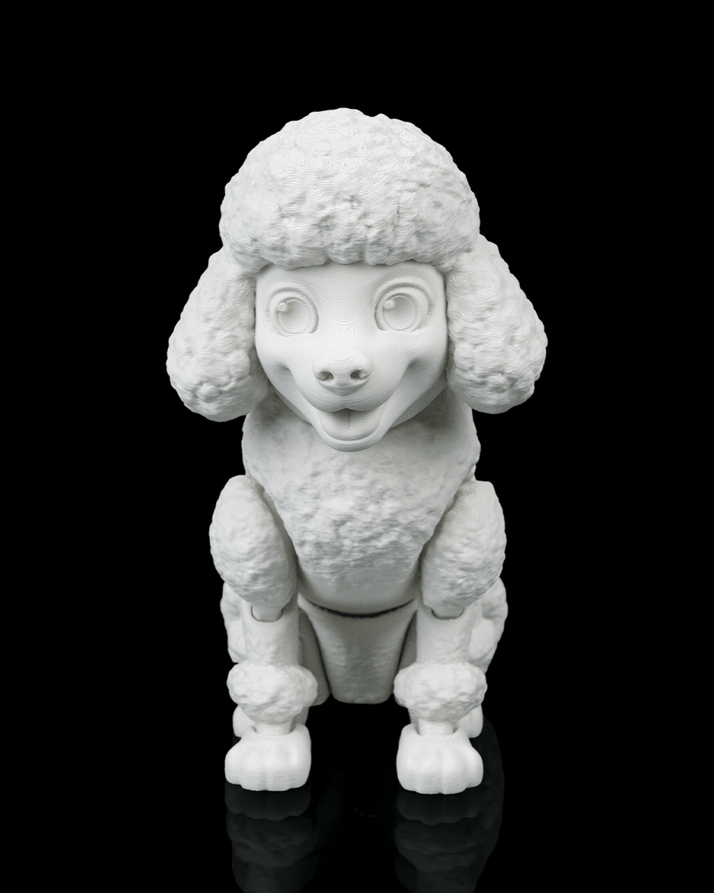 Barbara, the Poodle - view 10