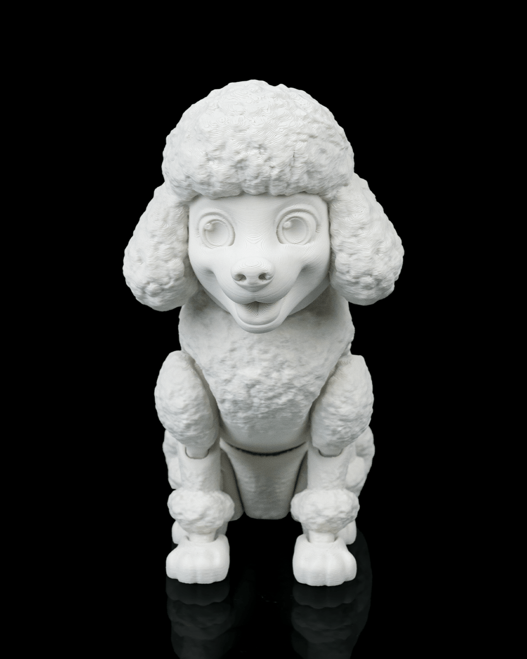 Barbara, the Poodle - view 10