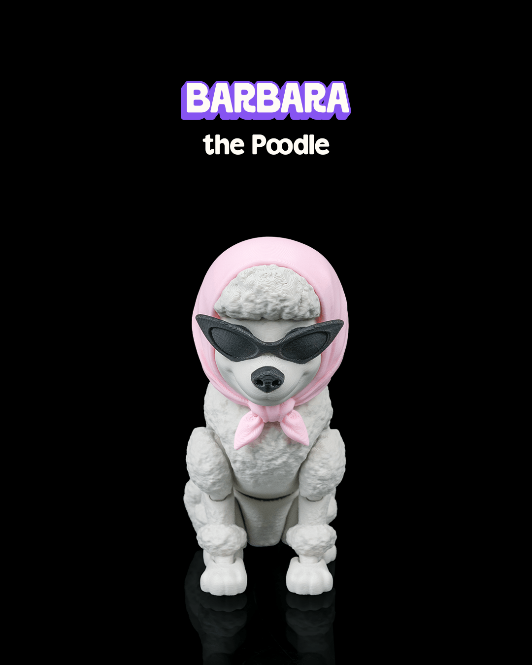 Barbara, the Poodle