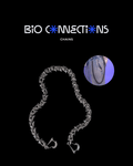 Bio Connection Chains