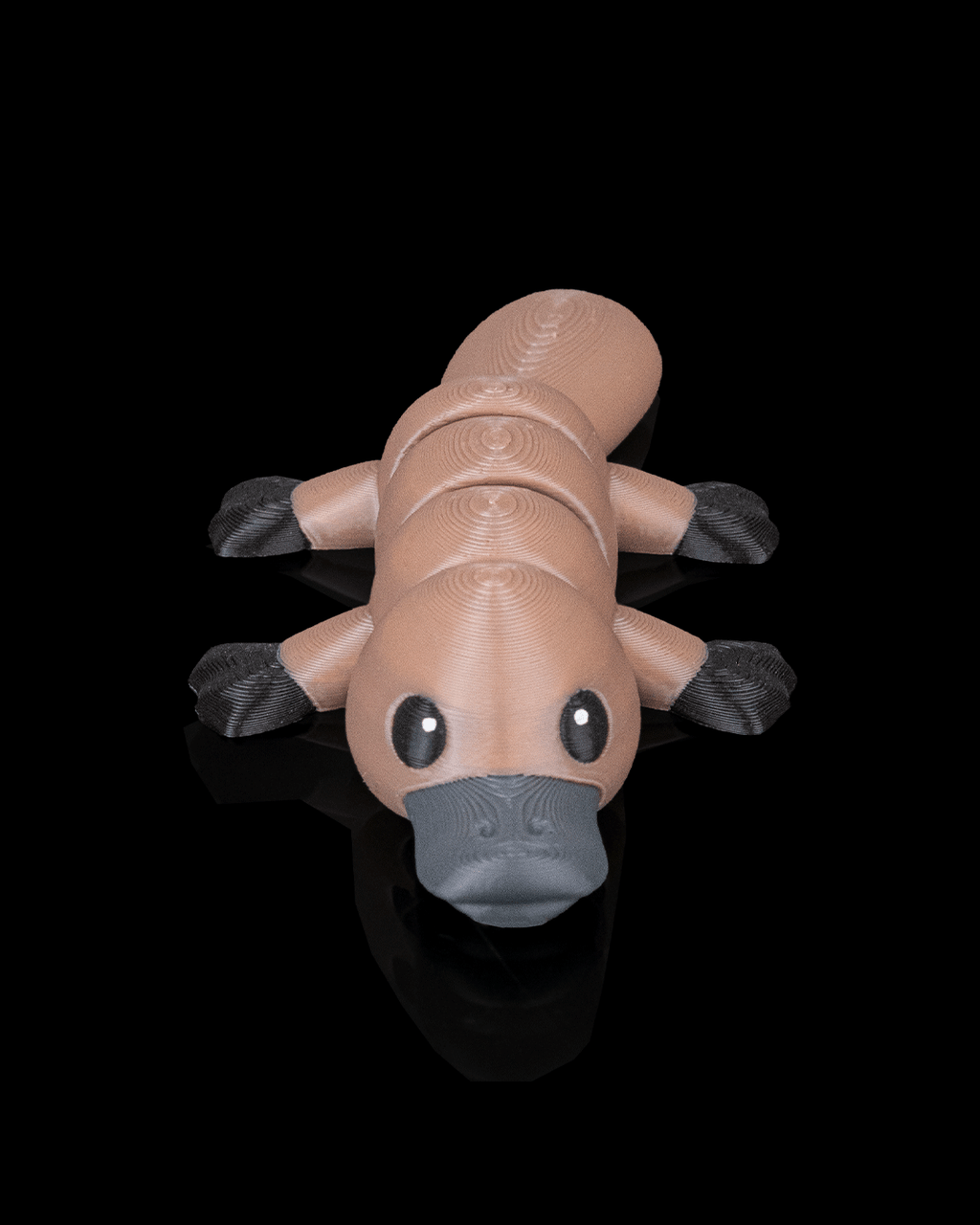 Calm Platypus - view 2