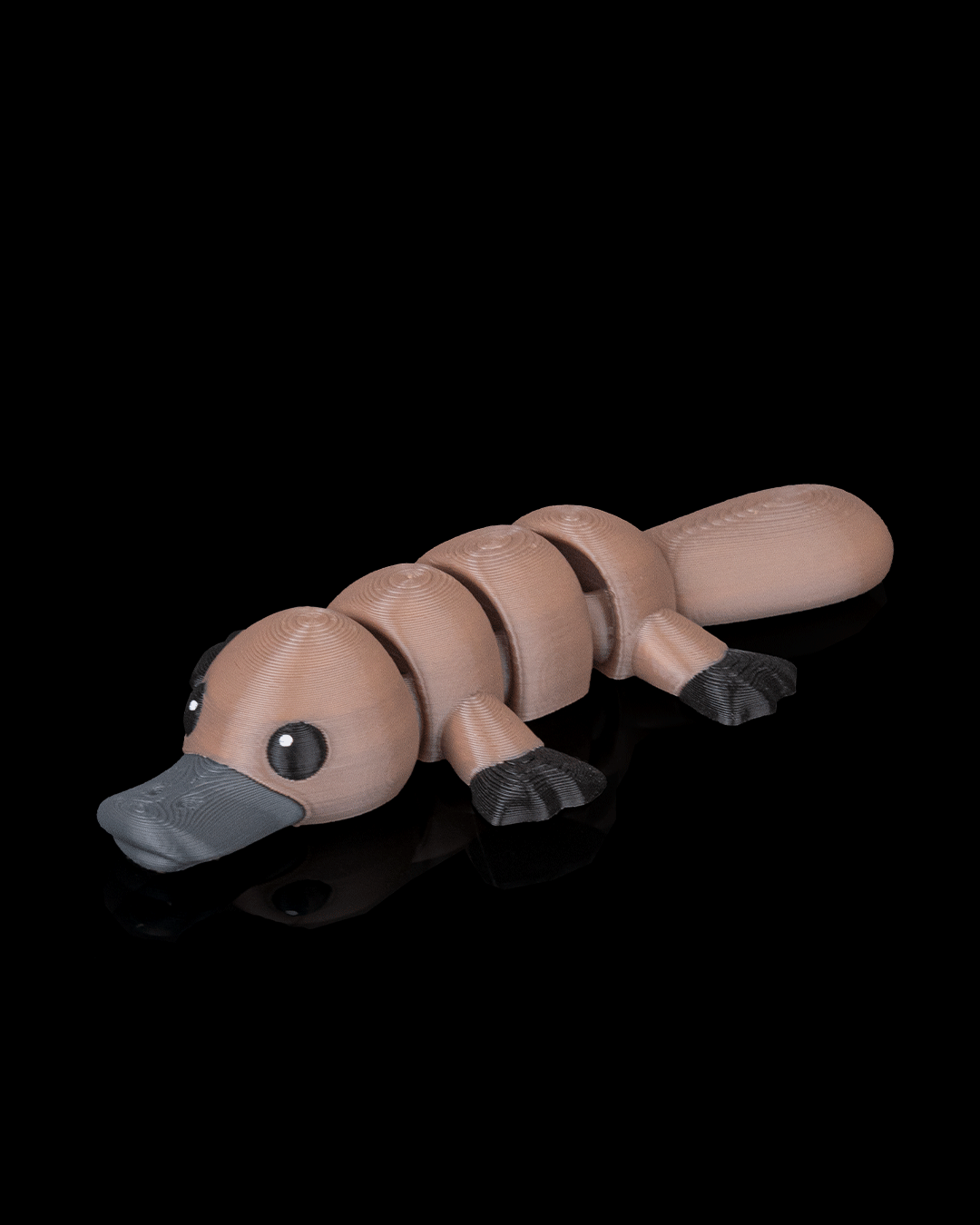 Calm Platypus - view 4