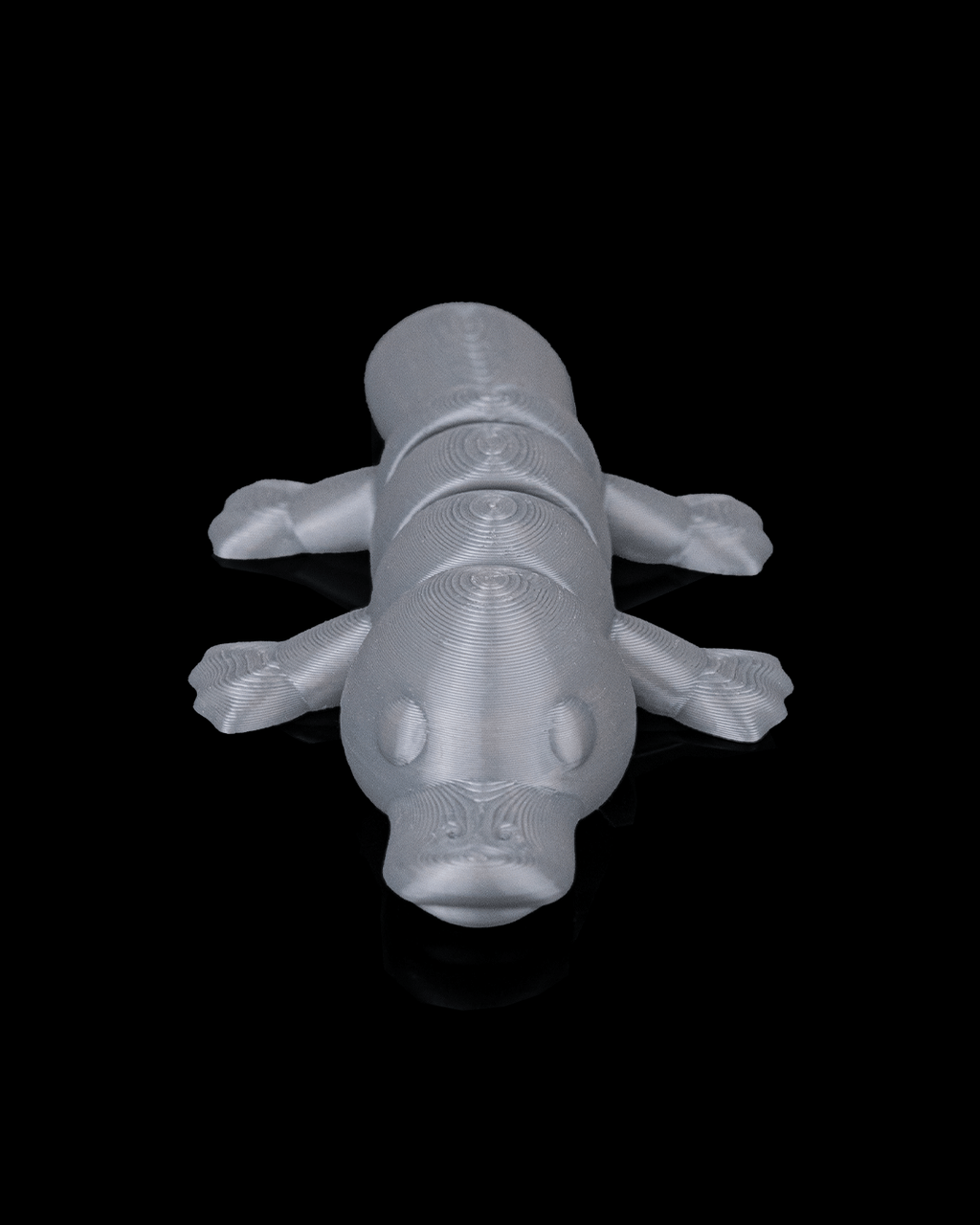 Calm Platypus - view 9