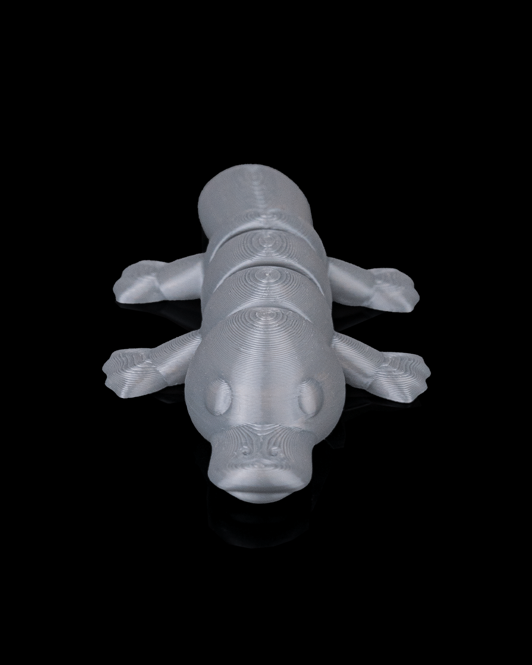 Calm Platypus - view 9