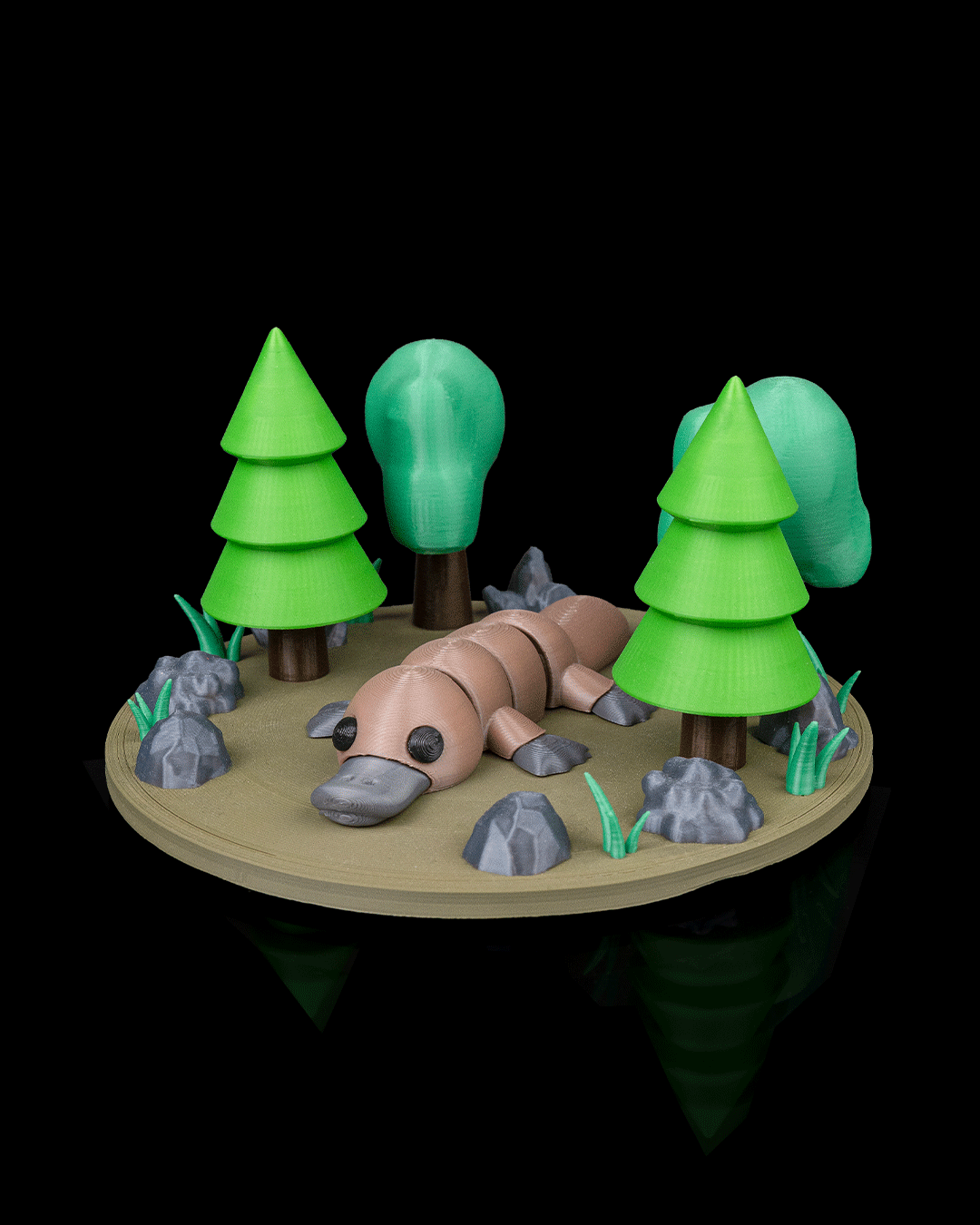 Calm Platypus - view 3