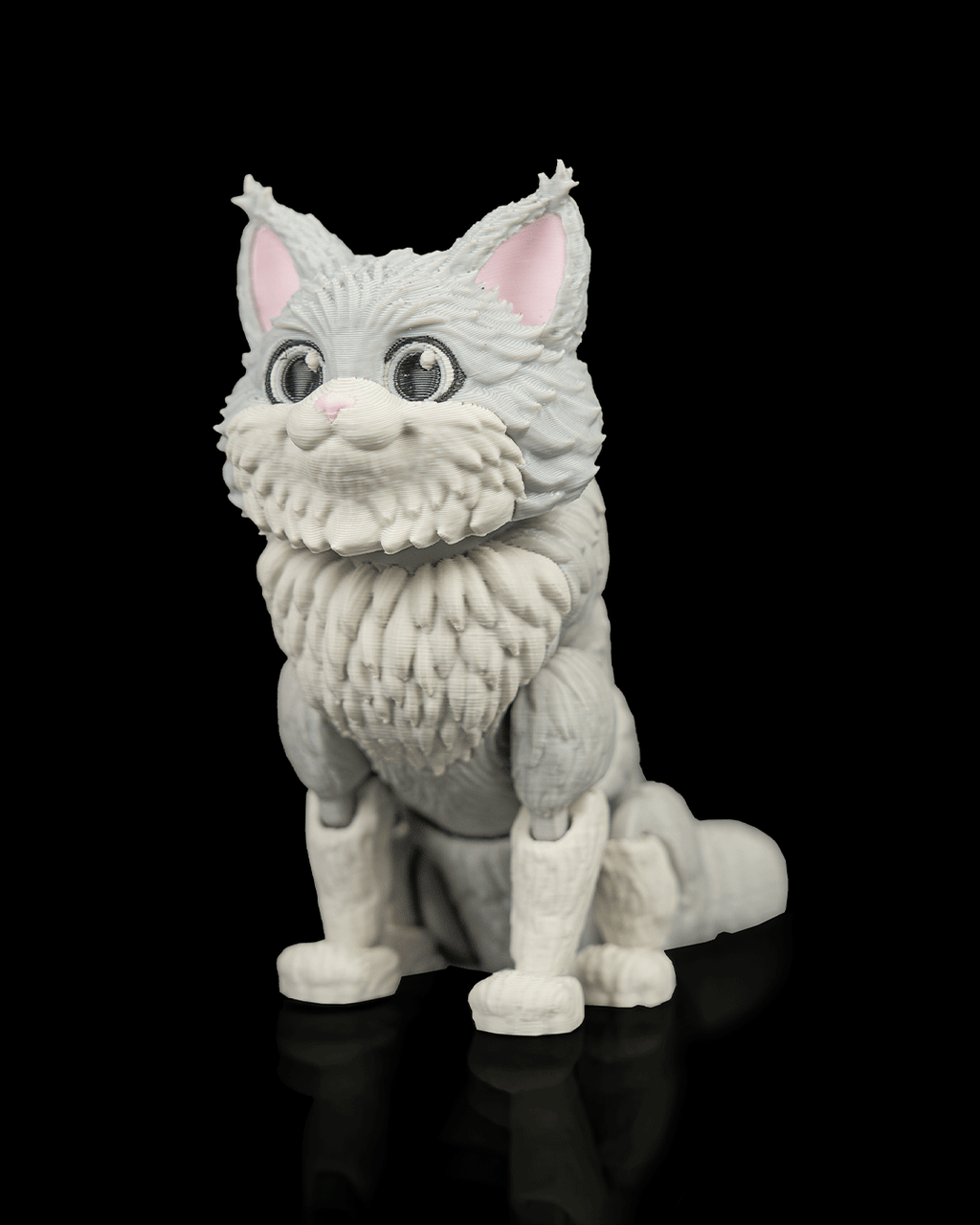 Chester, the Maine Coon - view 6