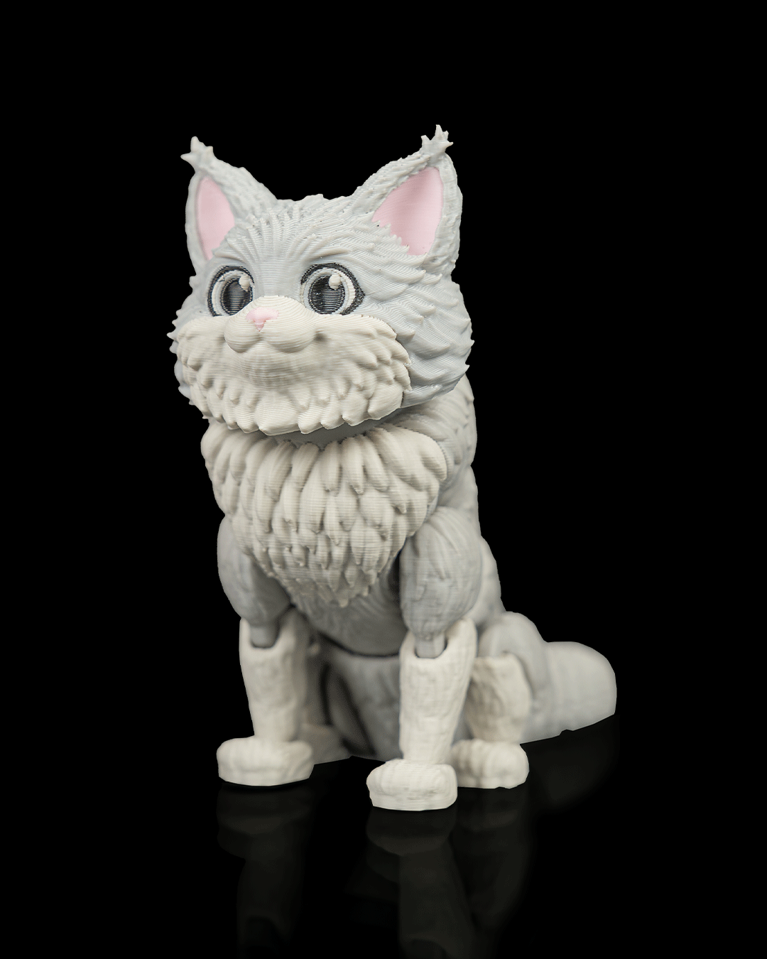 Chester, the Maine Coon - view 6