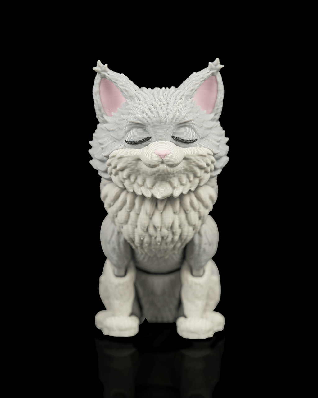 Chester, the Maine Coon - view 7