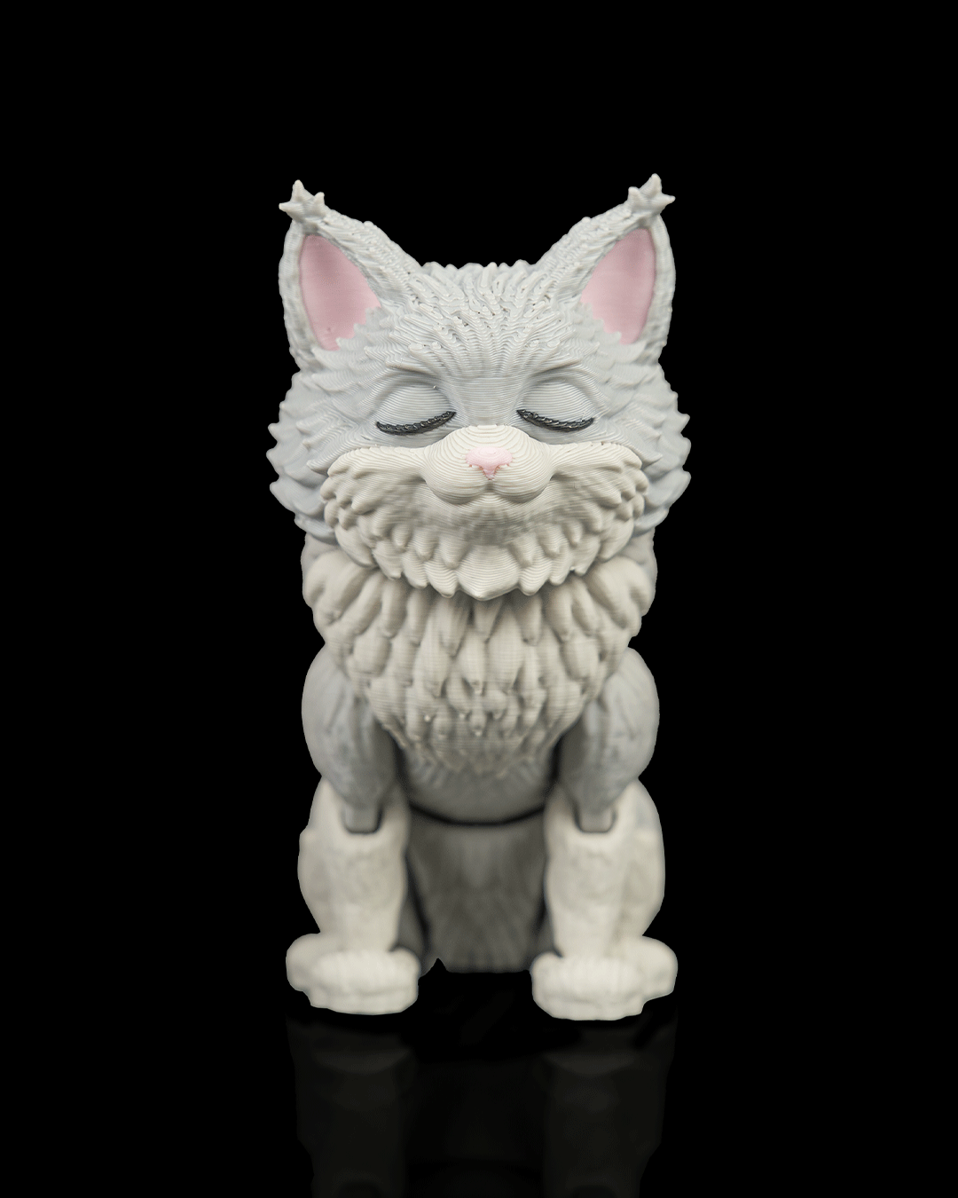 Chester, the Maine Coon - view 7